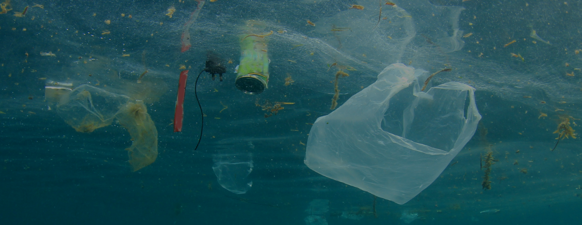 Plastic-Free Future: Protecting People and the Planet